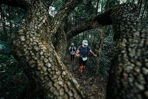 BIB: 
                            <button type="button" onclick="openModal(25392535)" class="btn btn-primary btn-sm float-right btn-popup" data-toggle="modal" data-target=".modal-high-quality">
                        <i class="fas fa-shopping-cart"></i> Add to Cart
                    </button>
                                            <button type="button" onclick="isThisMe(25392535, true)" class="btn btn-success btn-sm float-right btn-popup btn-isme hidden" data-toggle="tooltip" data-placement="bottom" title="นี่คือรูปของคุณใช่ไหม คลิกที่นี่เพื่อเอาเข้าอัลบั้ม">
                        <i class="fas fa-plus"></i> Add to album
                    </button>
                    <button type="button" onclick="isThisMe(25392535, false)" class="btn btn-warning btn-sm float-right btn-popup btn-isnotme hidden">
                        <i class="fas fa-ban"></i> Remove from album
                    </button>